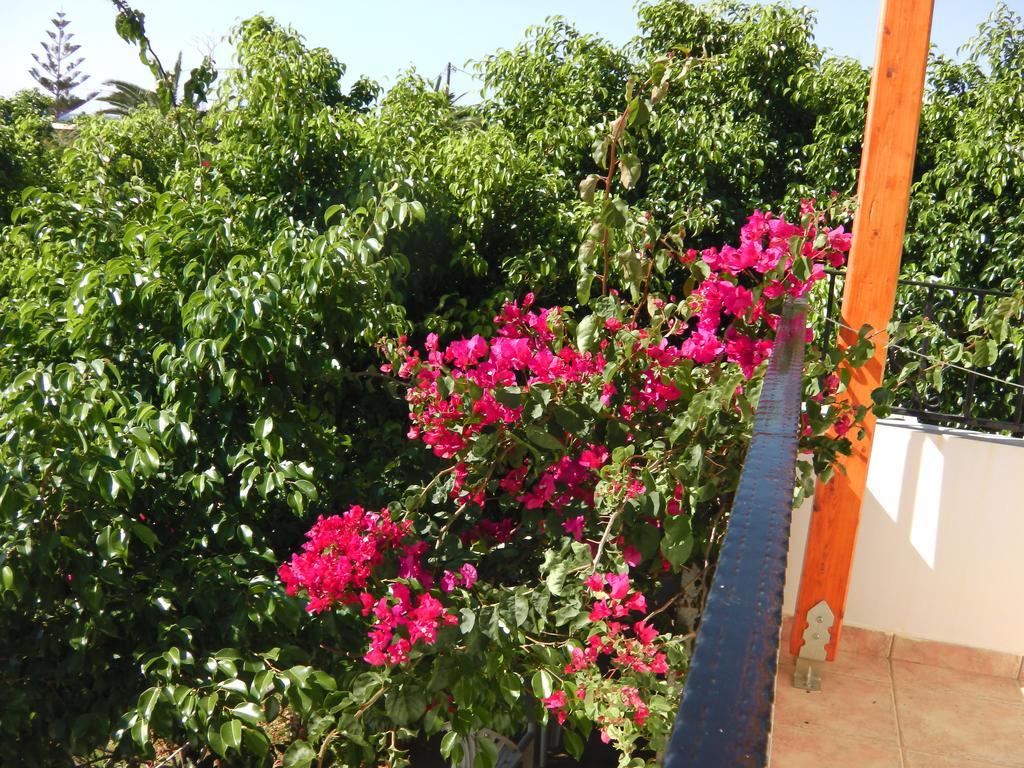 Serenity Hideaway Palaiochora Habitación foto