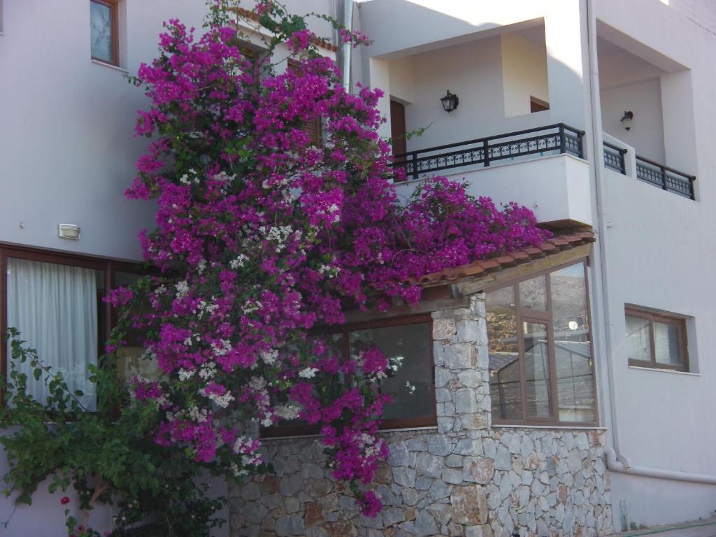 Serenity Hideaway Palaiochora Habitación foto